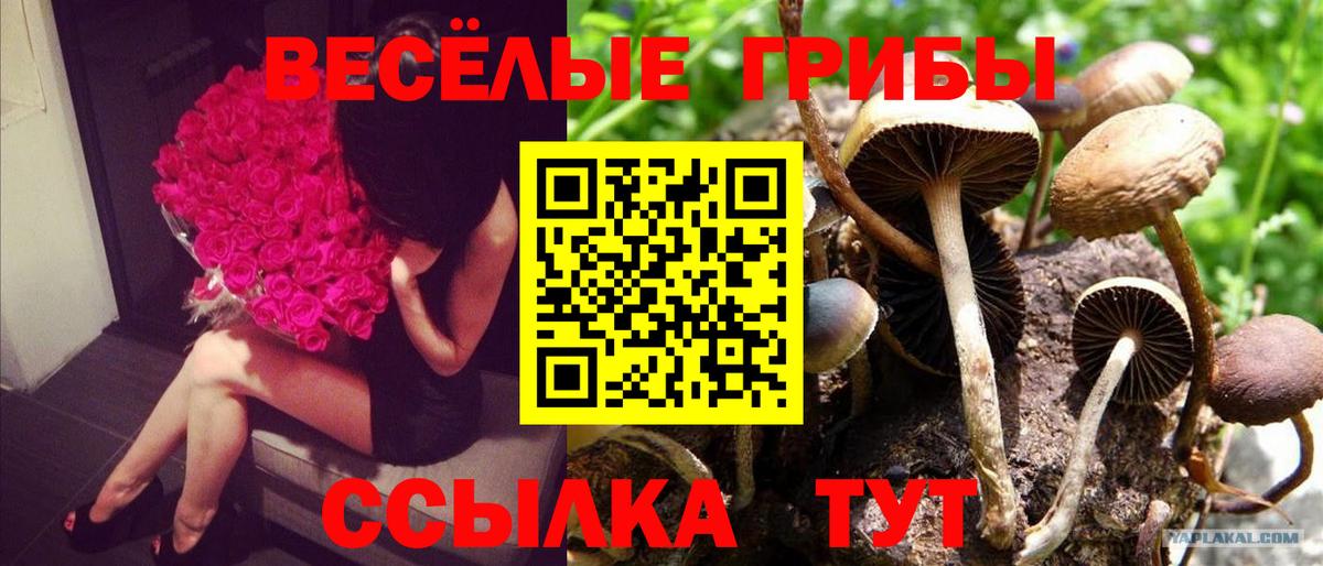 Галлюциногенные грибы мицелий Зеленокумск